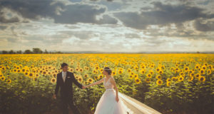 Sunflower Wedding Ideas