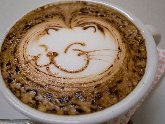 Cozy Cat Coffee Art Design // Creative 3D Coffee Latte Art Pictures, Images & Designs