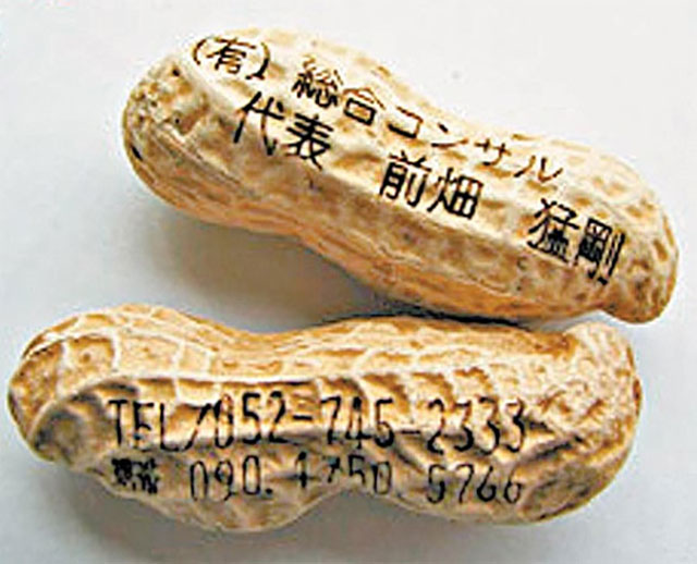Japanese-Edible-Peanut-Business-Cards