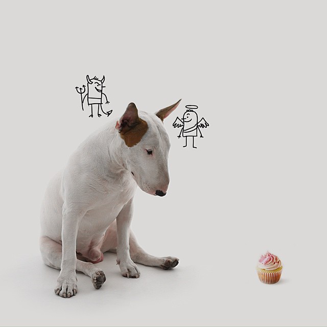 Dog Conscience // Funny And Cool Dog Drawings & Photo Illustrations, Jimmy Choo Bull Terrier by Rafael Mantesso