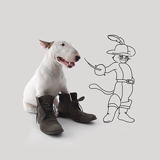 Dog & Puss In Boots Photograph // Funny And Cool Dog Drawings & Photo Illustrations, Jimmy Choo Bull Terrier by Rafael Mantesso
