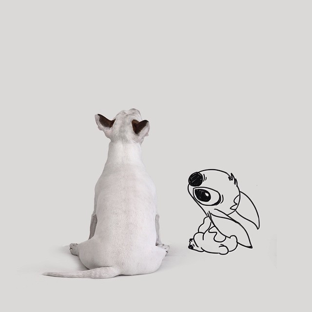 Dog Lilo & Stitch Photograph // Funny And Cool Dog Drawings & Photo Illustrations, Jimmy Choo Bull Terrier by Rafael Mantesso