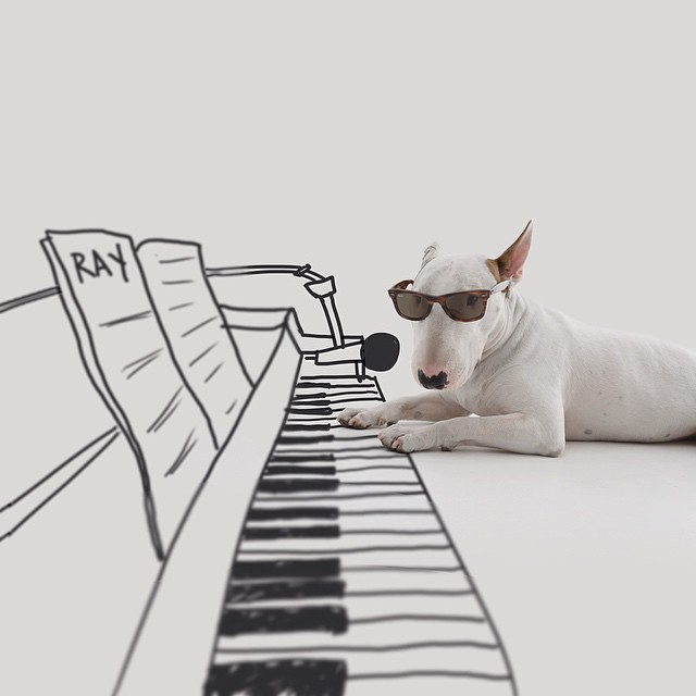 Dog Playing Piano // Funny And Cool Dog Drawings & Photo Illustrations, Jimmy Choo Bull Terrier by Rafael Mantesso