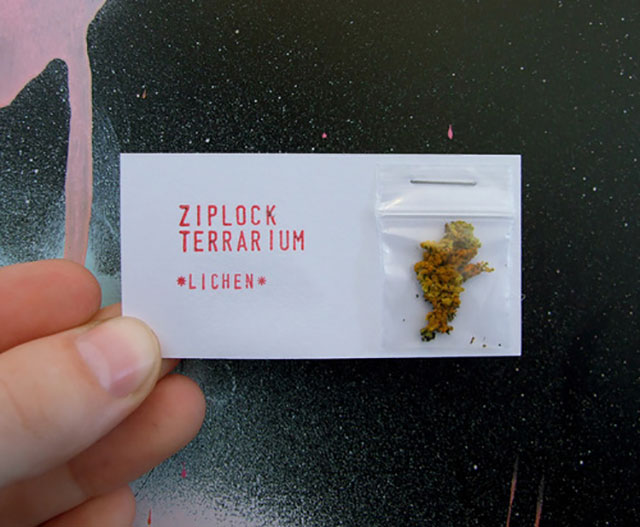 Ziplock Terrarium Business Card // 255 Creative & Unique Business Cards Design Inspiration & Ideas