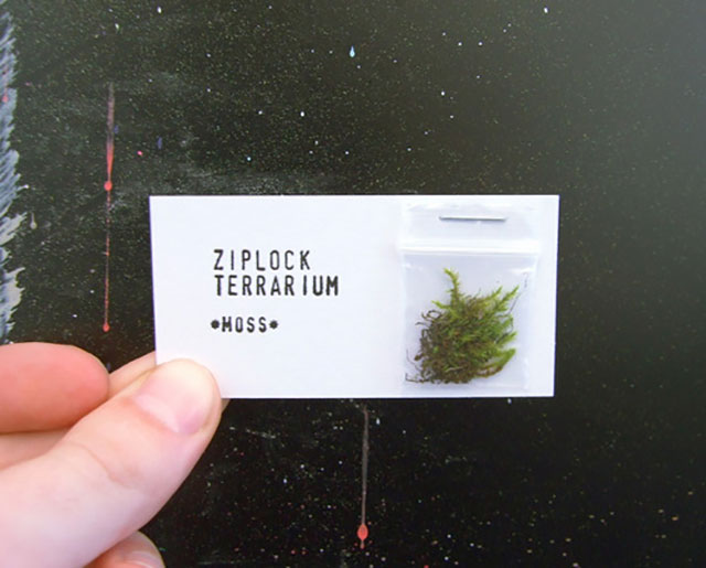 Ziplock Terrarium Business Card // 255 Creative & Unique Business Cards Design Inspiration & Ideas