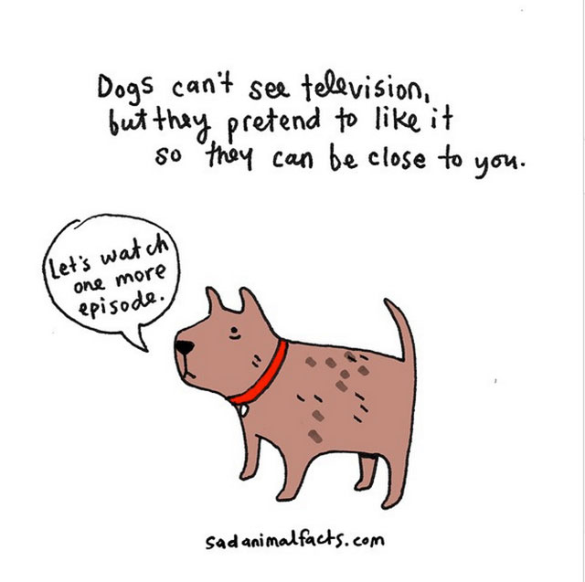 Sad Animal Facts About Dogs // Best Tumblr Illustration Blogs & Art Portfolio