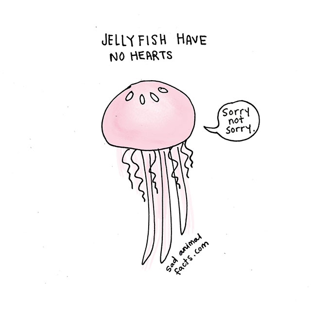 Sad Animal Facts About Jellyfish // Best Tumblr Illustration Blogs & Art Portfolio
