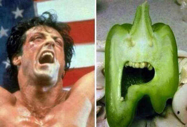Sylvester Stallone Green Pepper Photograph // Funny Exotic Fruits And Vegetables Photos