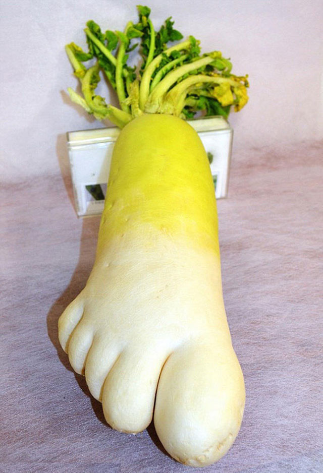 Huge Turnip Footprint // Funny Exotic Fruits And Vegetables Photos