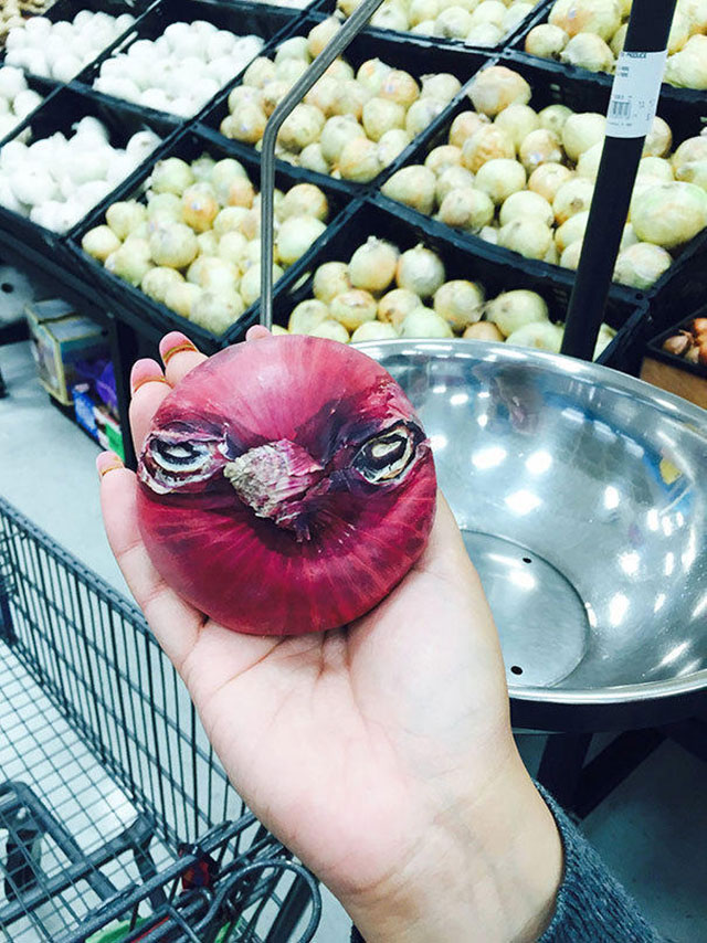 Angry Birds Onion Photograph // Funny Exotic Fruits And Vegetables Photos
