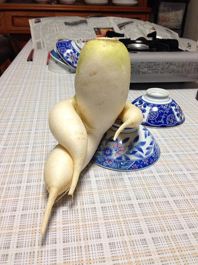 Relaxing Radish Photograph // Funny Exotic Fruits And Vegetables Photos