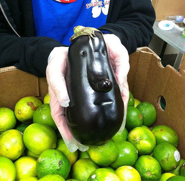 Eggplant Face Photograph // Funny Exotic Fruits And Vegetables Photos