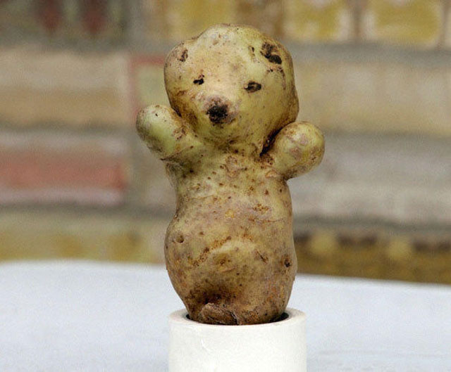 Cute Potato Teddy Bear Photograph // Funny Exotic Fruits And Vegetables Photos