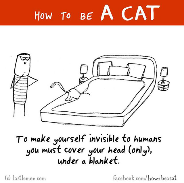 How To Be A Cat Illustrations