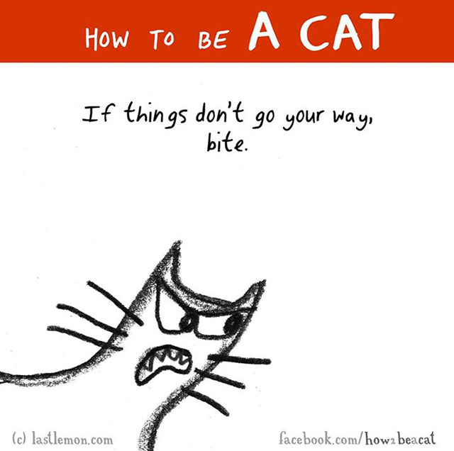 How To Be A Cat Illustrations
