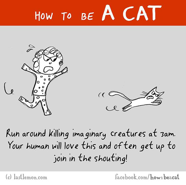 How To Be A Cat Illustrations