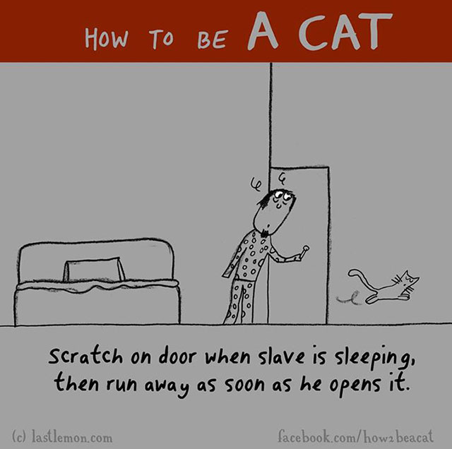 How To Be A Cat Illustrations