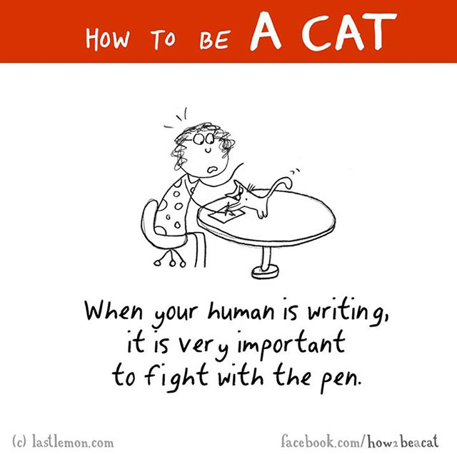 How To Be A Cat Illustrations