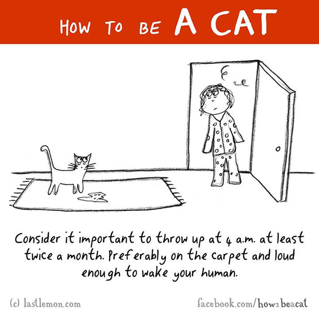 How To Be A Cat Illustrations