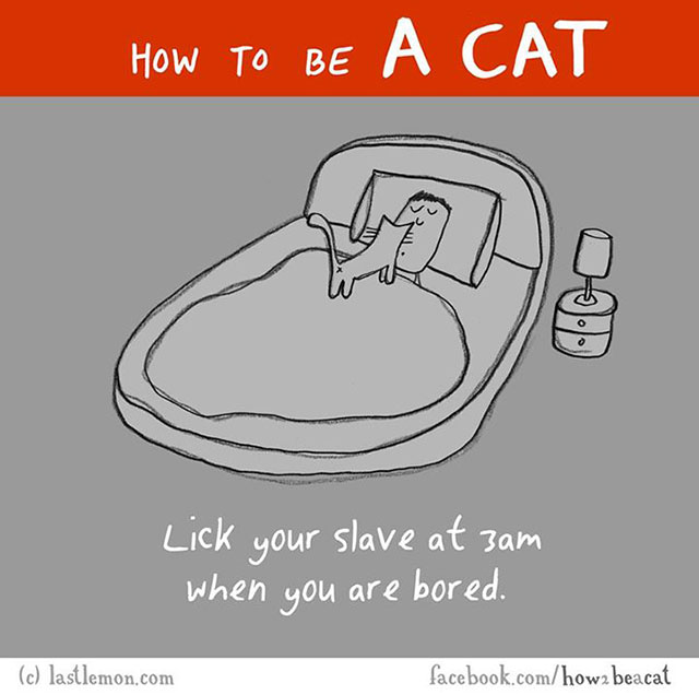 How To Be A Cat Illustrations