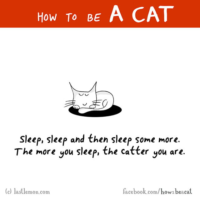 How To Be A Cat Illustrations