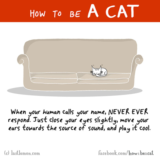 How To Be A Cat Illustrations