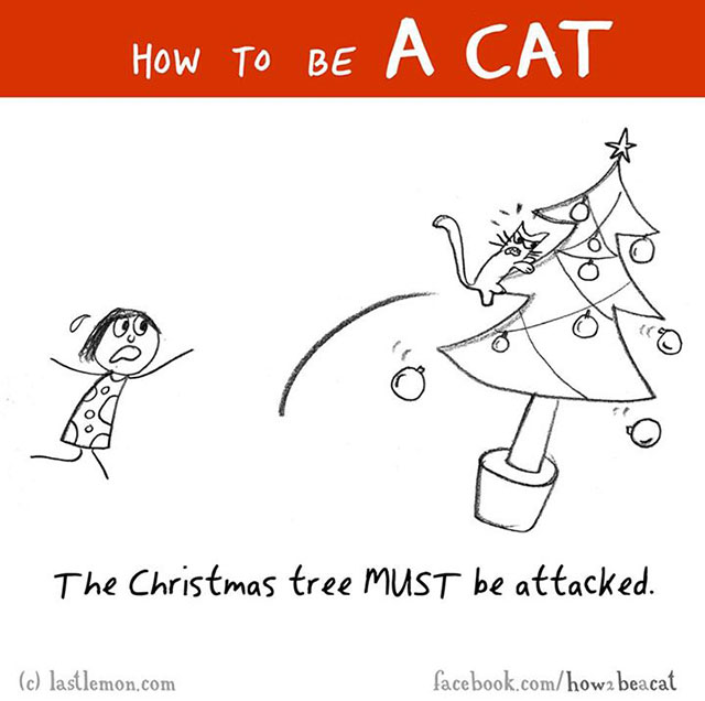 How To Be A Cat Illustrations