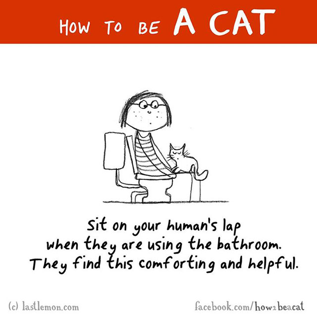 How To Be A Cat Illustrations
