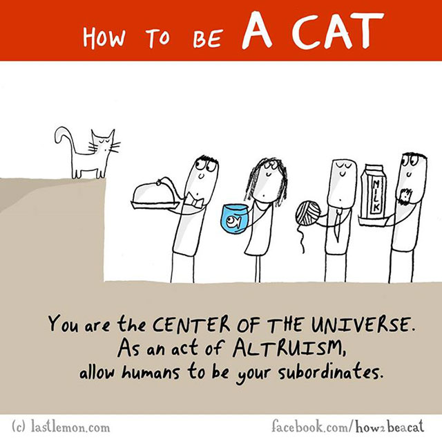 How To Be A Cat Illustrations