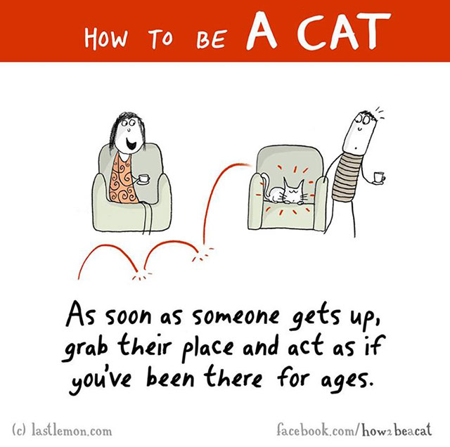 How To Be A Cat Illustrations