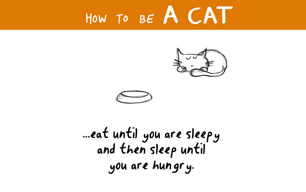 How To Become A Cat
