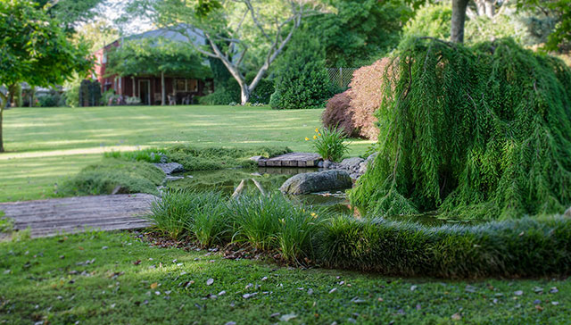 Organic Church Planting, Innovative Tree Church Architecture by Barry Cox