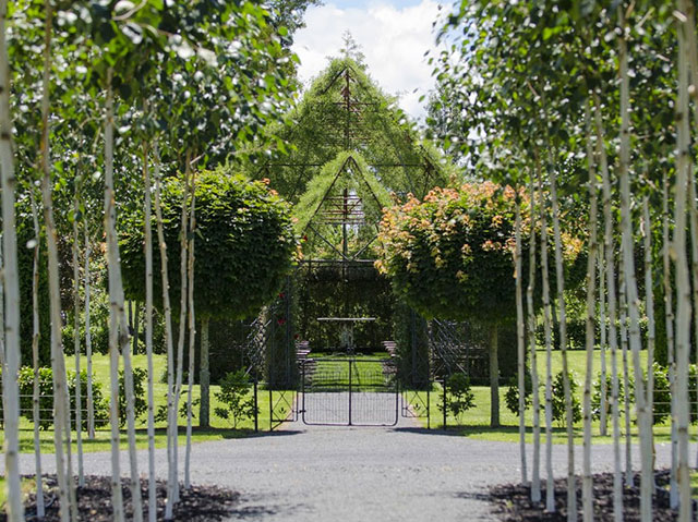 Organic Church Planting, Innovative Tree Church Architecture by Barry Cox