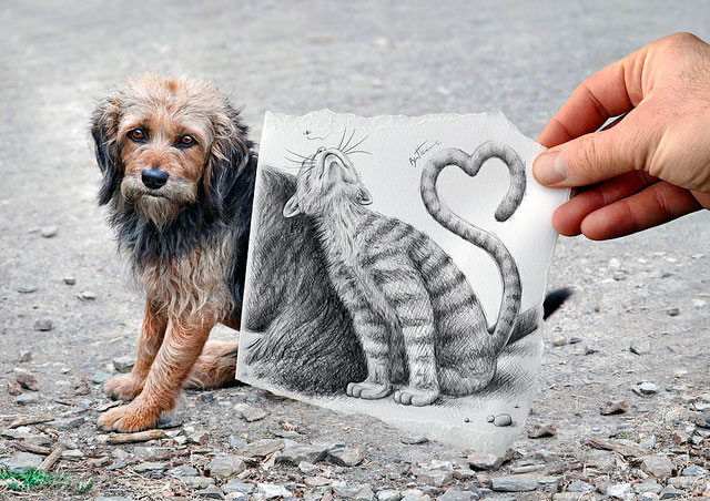 Dog & Cat Photos // Pencil Photography Drawing, Pencil vs Camera Ideas by Ben Heine