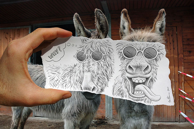 Two Donkeys Photo // Pencil Photography Drawing, Pencil vs Camera Ideas by Ben Heine