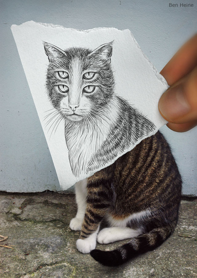 4 Eyed Cat Photo // Pencil Photography Drawing, Pencil vs Camera Ideas by Ben Heine