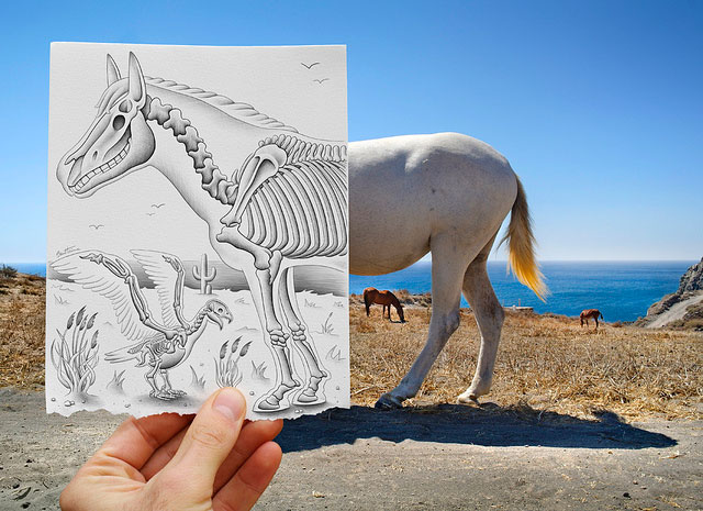 Horse Skeleton Photo // Pencil Photography Drawing, Pencil vs Camera Ideas by Ben Heine