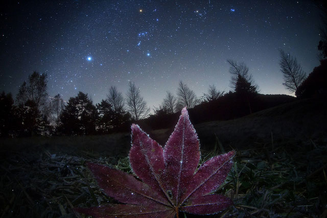 Stunning Night Sky Shots // Amazing Starry Night Sky Photography & Astrophotography