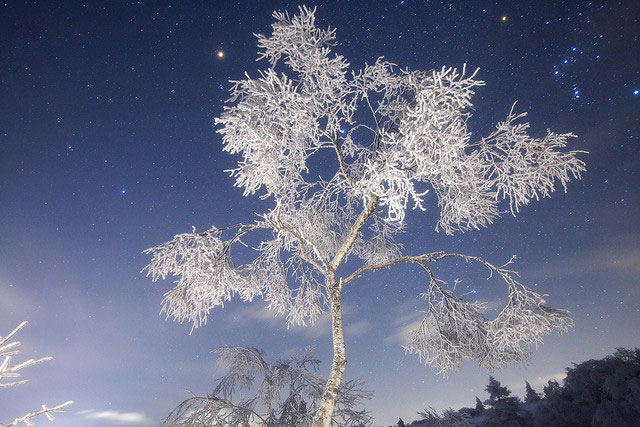 Stunning Night Sky Shots // Amazing Starry Night Sky Photography & Astrophotography