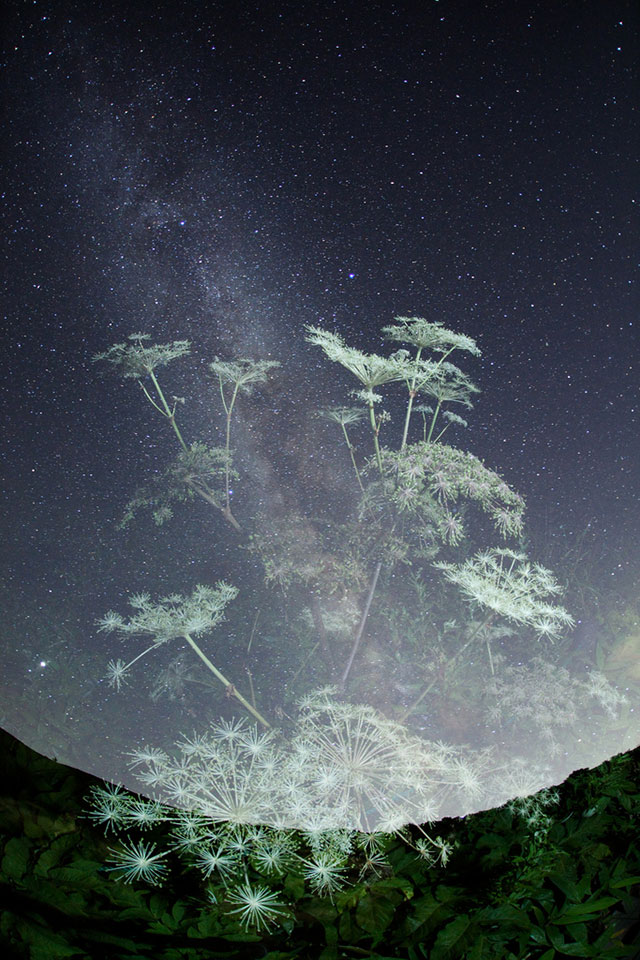 Stunning Night Sky Shots // Amazing Starry Night Sky Photography & Astrophotography