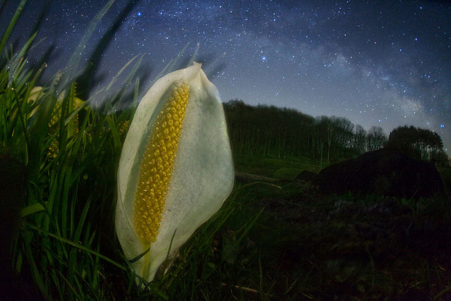 Stunning Night Sky Shots & Photography