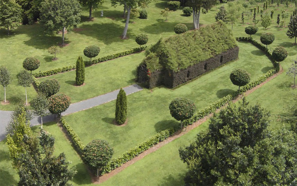 The Tree Church