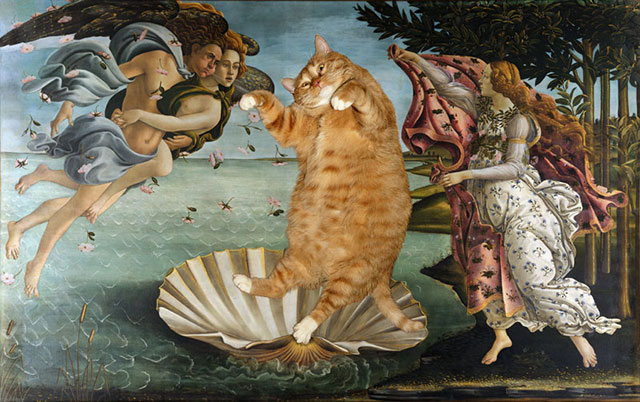 Botticelli, The Birth of Venus | Fat Orange Ginger Cat Paintings Photobombing Famous Masterpieces