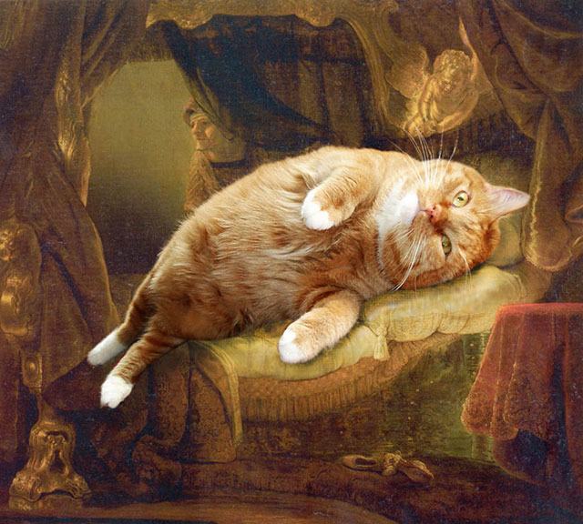 Rembrandt, Danae | Fat Orange Ginger Cat Paintings Photobombing Famous Masterpieces