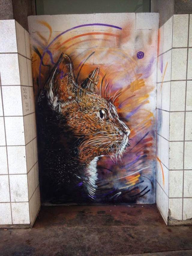 C215: Cat Mural | 10 Famous & Most Popular Street Art Pieces 2014