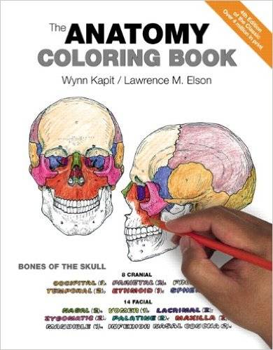 The Anatomy Coloring Book, By Wynn Kapit & Lawrence M. Elson | 10 Best Coloring Books For Adults, Stress Relief