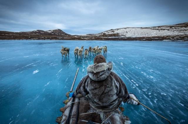 Sledding In Greenland | 10 Best Photographs Ever Taken Without Photoshop