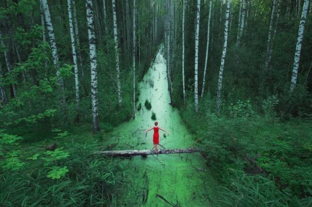 The Endless Forests Of Russia | 10 Best Photographs Ever Taken Without Photoshop