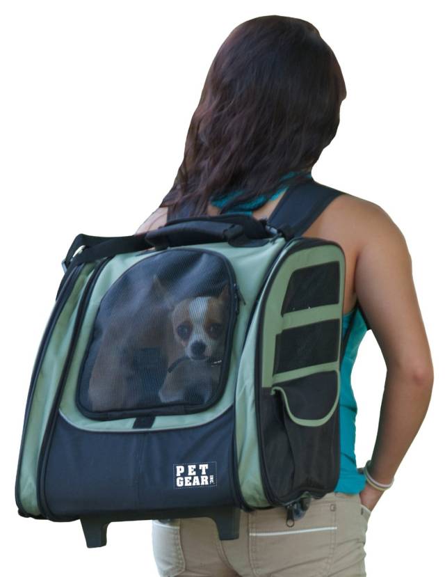Carry Around Doggy Backpack // 10 Most Unique & Unusual Backpacks