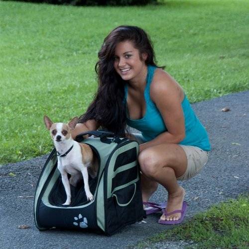 Carry Around Doggy Backpack // 10 Most Unique & Unusual Backpacks